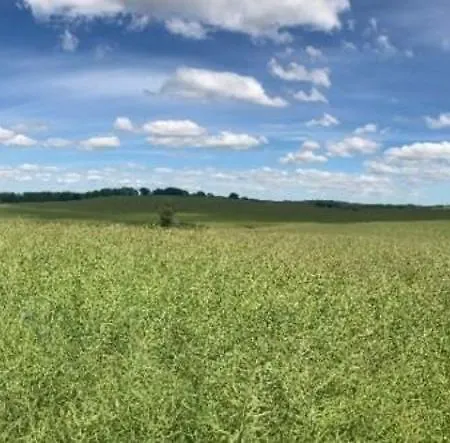 6 Krakow